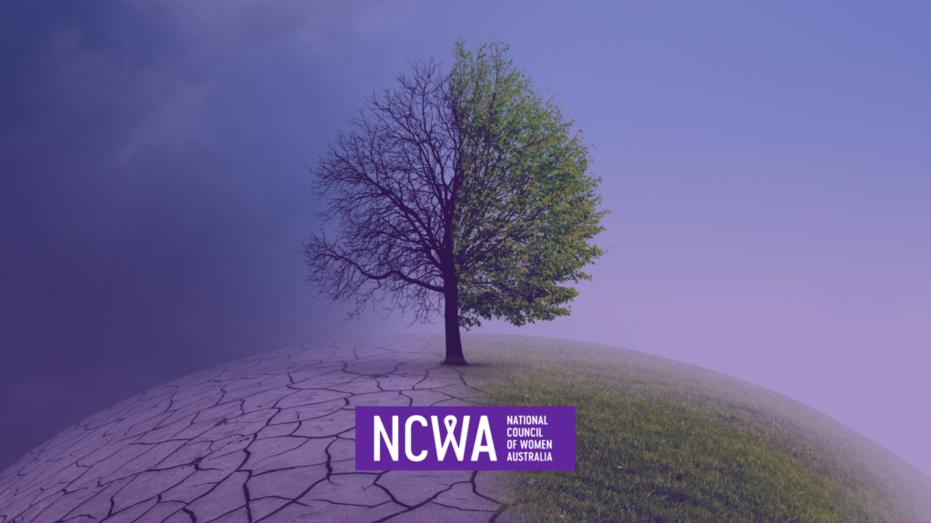 Climate Change Risks’: Report on the National Climate Risk Assessment report” By Wendy Rainbird, September 2025.