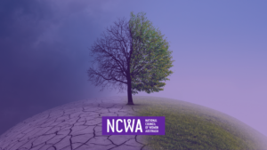 Climate Change Risks’: Report on the National Climate Risk Assessment report” By Wendy Rainbird, September 2025.
